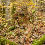 The modular 3d camouflage paradigm: what is a Gen4 ghillie?