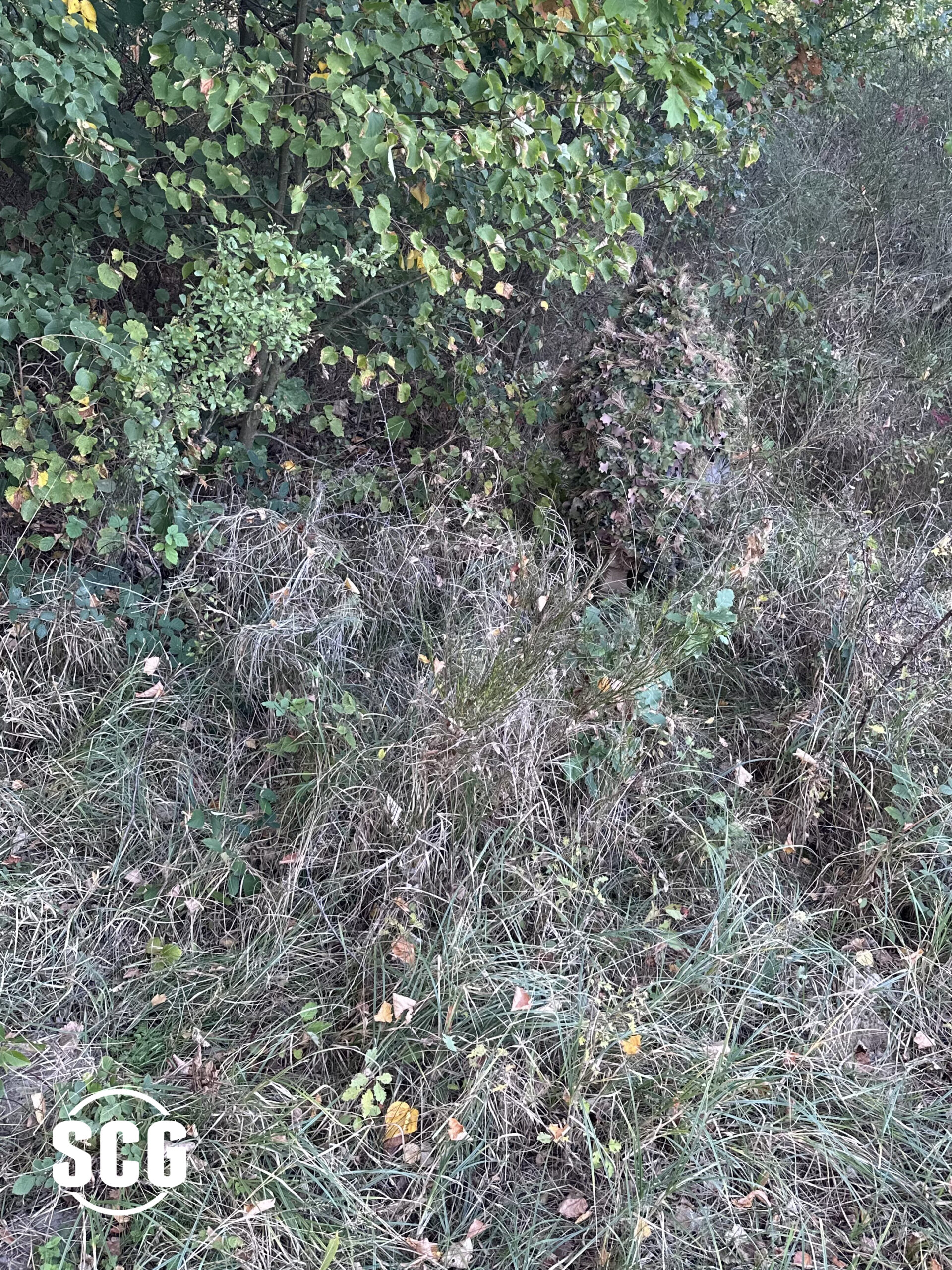 NextGen Viper Hood & Cape V2 – FinPat M/05 (Ultra 3D) Woodland Foliage - obrazek 4